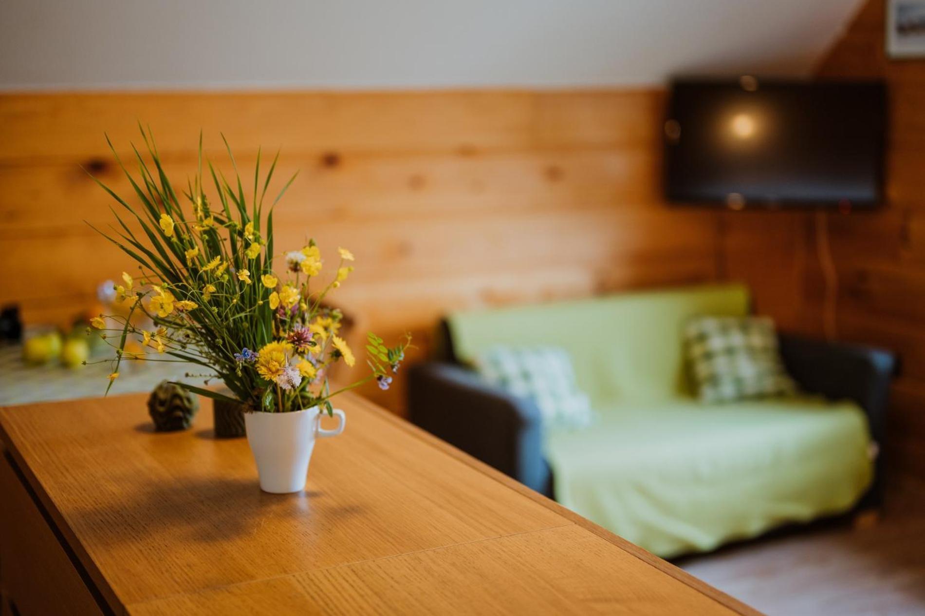 Apartmany Velké Karlovice 外观 照片